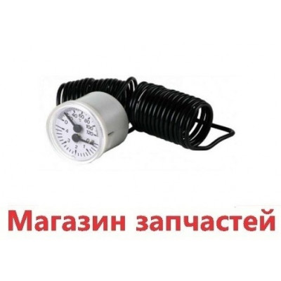 Термоманометр Ferroli Rendimax, Pegasus, Tantaqua N EL, GN 1 39814770