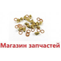 Инжекторы для сжиженного газа комплект (11 шт), д0,80 6606103018