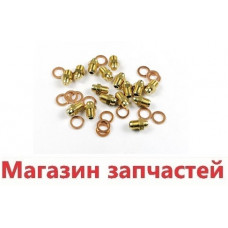 Инжекторы для сжиженного газа комплект (11 шт), д0,80 6606103018