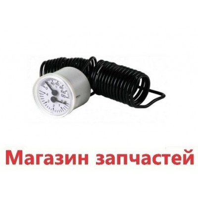 Термоманометр котла Ferroli Pegasus F3 N 119-289 2S 3982010