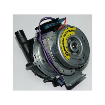 Насос Daewoo 50-70 DWMG5070PL
